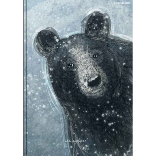 BRULION TW A5 96K.KRATKA FOREST/ICE, Bruliony, Zeszyty i bloki