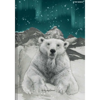 BRULION TW A5 96K.KRATKA FOREST/ICE, Bruliony, Zeszyty i bloki