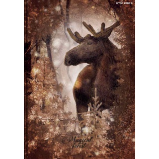 BRULION TW A5 96K.KRATKA FOREST/ICE, Bruliony, Zeszyty i bloki