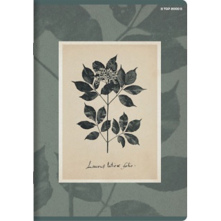 ZESZYT A5 60K.LINIA FLOWERS 10szt., Podkategoria, Kategoria