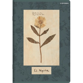 ZESZYT A5 60K.LINIA FLOWERS 10szt., Podkategoria, Kategoria