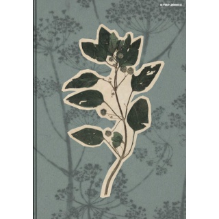 BRULION TW A5 96K. KRATKA FLOWERS, Podkategoria, Kategoria