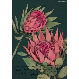 BRULION TW A5 96K. KRATKA FLOWERS, Podkategoria, Kategoria