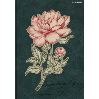 BRULION TW A5 96K. KRATKA FLOWERS, Podkategoria, Kategoria