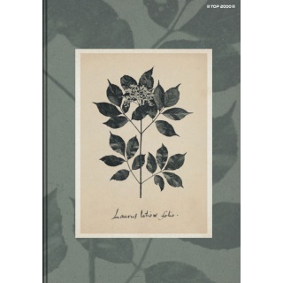BRULION TW A5 96K. KRATKA FLOWERS, Podkategoria, Kategoria