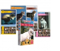 KARTY ANIMAL TRUMPS CATS, Podkategoria, Kategoria