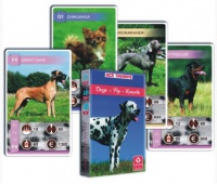 KARTY ANIMAL TRUMPS DOGS, Podkategoria, Kategoria