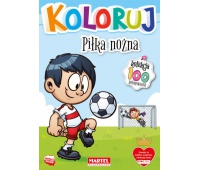 KOLEKCJA KOLORUJ PIŁKA NOŻNA, Podkategoria, Kategoria