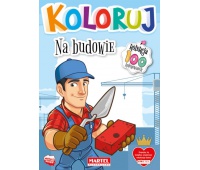 KOLEKCJA KOLORUJ NA BUDOWIE, Podkategoria, Kategoria