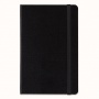 MOLESKINE PRO Portfolio P (9x14 cm), 6 pockets, black
