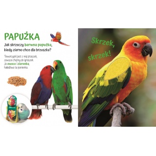 POGŁASZCZ DOMOWE ZWIERZĄTKO, Podkategoria, Kategoria