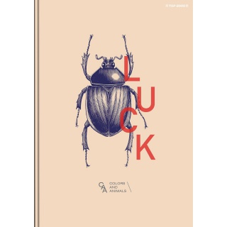 BRULION A5 96K.LINIA MEGAMIX, Podkategoria, Kategoria
