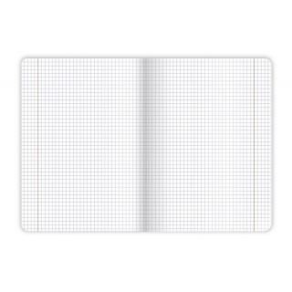 ZESZYT A5 32K.KRATKA BOOK/RETRO 10szt., Podkategoria, Kategoria