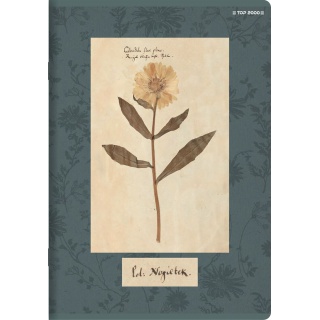 ZESZYT A5 32K.LINIA FLOWERS 10szt., Podkategoria, Kategoria