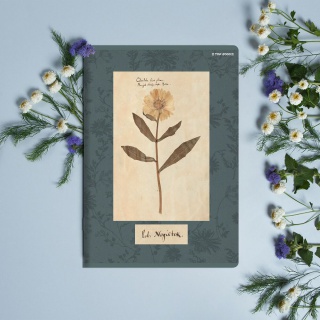 ZESZYT A5 32K.LINIA FLOWERS 10szt., Podkategoria, Kategoria