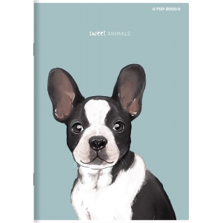 ZESZYT A5 16K.GŁADKI ANIMAL 20szt., Podkategoria, Kategoria