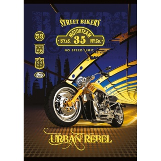 ZESZYT A5 52K.KRATKA LUX, Podkategoria, Kategoria