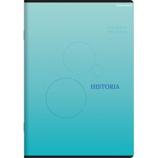 ZESZYT TOP A5 60K.KRATKA HISTORIA MEGAMIX /10/, Podkategoria, Kategoria