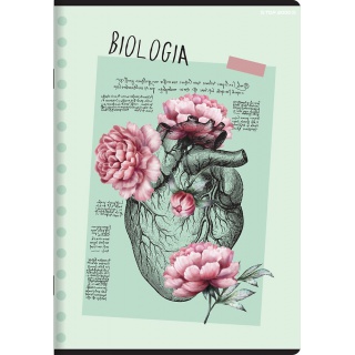 ZESZYT TOP A5 60K.KRATKA BIOLOGIA MEGAMIX /10/, Podkategoria, Kategoria