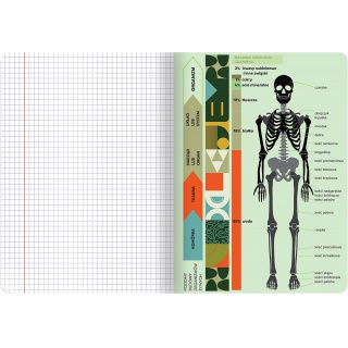 ZESZYT TOP A5 60K.KRATKA ŚCIĄGA BIOLOGIA /10/, Podkategoria, Kategoria