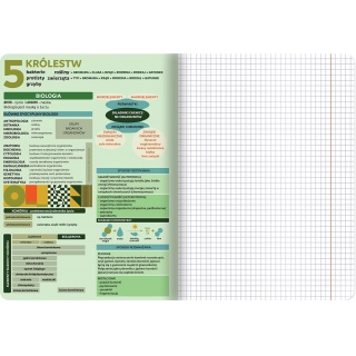 ZESZYT TOP A5 60K.KRATKA ŚCIĄGA BIOLOGIA /10/, Podkategoria, Kategoria