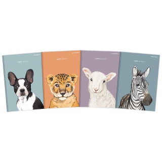 BRULION TOP A7 80K.KRATKA ANIMAL, Podkategoria, Kategoria