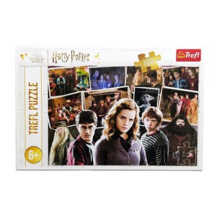 Puzzle 160 - Harry Potter i przyjaciele !!, Podkategoria, Kategoria