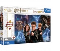 Puzzle 160 XL Super Shape - Magiczny świat H. P.!!, Podkategoria, Kategoria