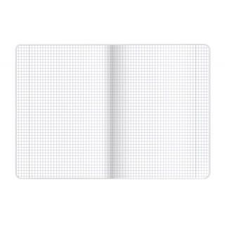 BRULION MO OXFORD ESSE A4 96K.KRATKA, Podkategoria, Kategoria
