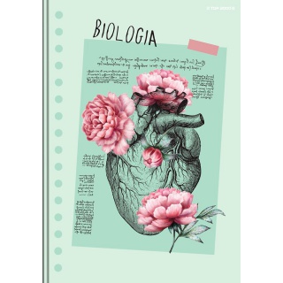 BRULION A5 80K.KRATKA BIOLOGIA, Podkategoria, Kategoria