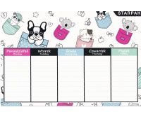 PLAN LEKCJI + TABLICZKA MNOŻ. A5 MINISY STK /25/, Podkategoria, Kategoria