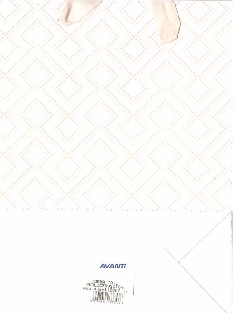 TOREBKA OKOLICZNOŚCIOWA TO-1 17,5x23,5cm., Podkategoria, Kategoria