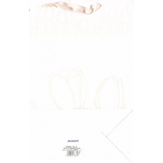 TOREBKA OKOLICZNOŚCIOWA TO-2 29,5x27,5cm., Podkategoria, Kategoria