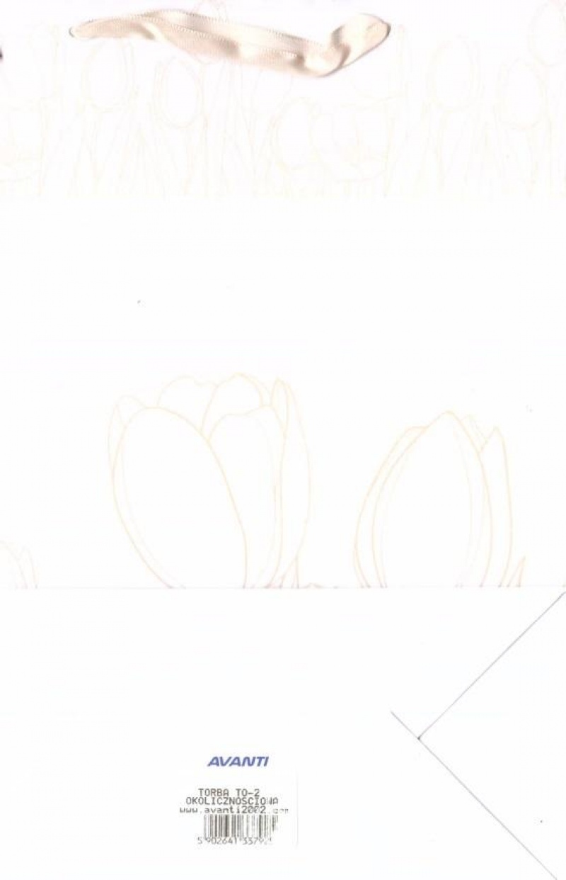 TOREBKA OKOLICZNOŚCIOWA TO-2 29,5x27,5cm., Podkategoria, Kategoria