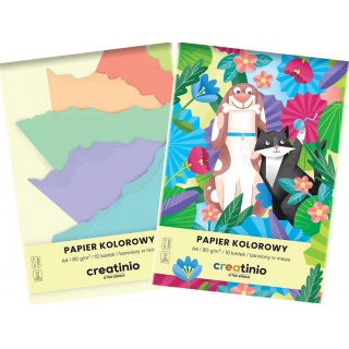 PAPIER KOLOROWY TOP CREATINIO A4 10K.80gr., Podkategoria, Kategoria