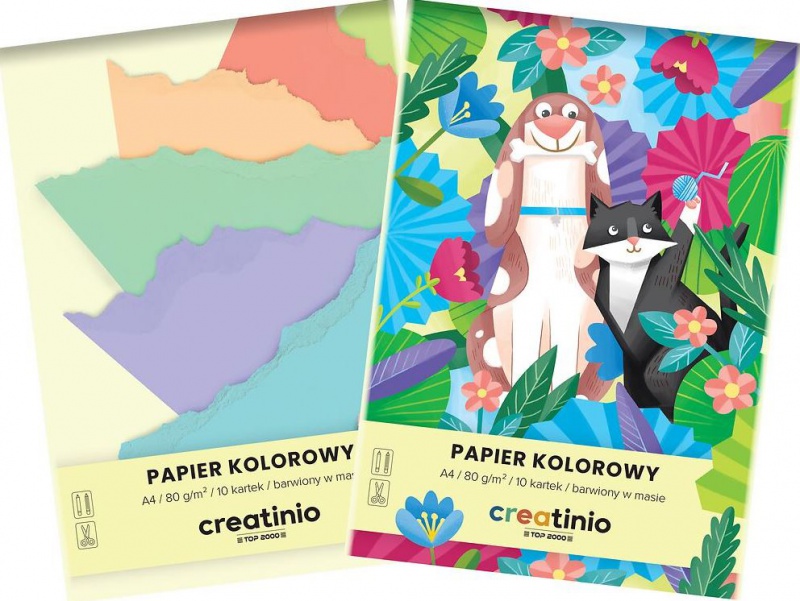 PAPIER KOLOROWY TOP CREATINIO A4 10K.80gr., Podkategoria, Kategoria