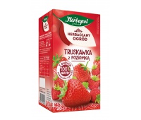 Tea HERBAPOL Tea Garden, 20 bags, strawberry