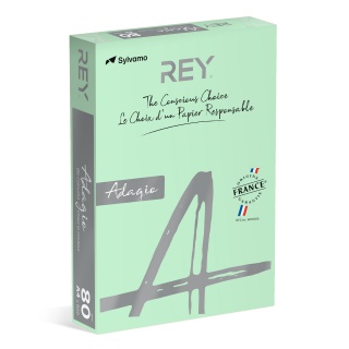 Papier ksero REY ADAGIO, A4, 80gsm, 09 zielony pastel *RYADA080X432 R200, 500 ark., Papier do kopiarek, Papier i etykiety