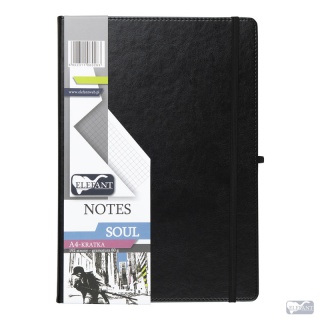 NOTES SOUL A4 96k KRATKA CZARNY, Podkategoria, Kategoria