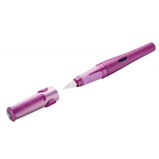 PIÓRO PELIKANO STARDUST, Podkategoria, Kategoria