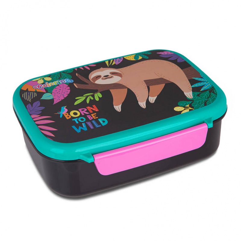 ŚNIADANIÓWKA FOODY WILDKID COLORINO, Podkategoria, Kategoria