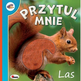 PRZYTUL MNIE LAS, Podkategoria, Kategoria