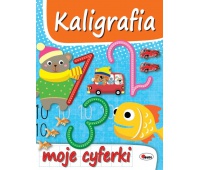 KALIGRAFIA MOJE CYFERKI, Podkategoria, Kategoria