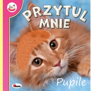 PRZYTUL MNIE PUPILE, Podkategoria, Kategoria