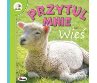 PRZYTUL MNIE WIEŚ, Podkategoria, Kategoria