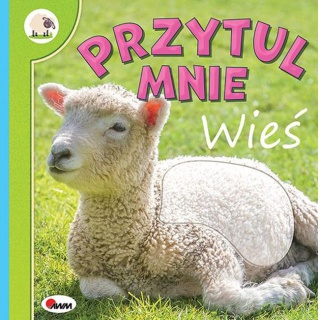 PRZYTUL MNIE WIEŚ, Podkategoria, Kategoria