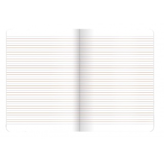 ZESZYT OXFORD TOUCH PASTEL A5 16K.LINIA PODW.10szt, Podkategoria, Kategoria