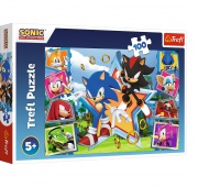 Puzzle 100 - Poznaj Sonica !!, Podkategoria, Kategoria