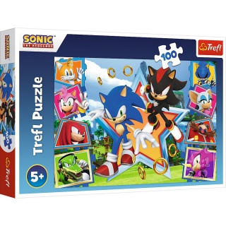 Puzzle 100 - Poznaj Sonica !!, Podkategoria, Kategoria