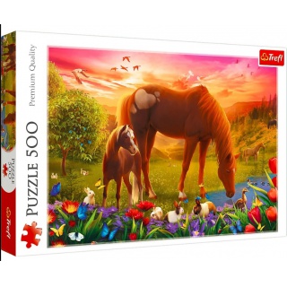 Puzzle 500 - Konie na łące !!, Podkategoria, Kategoria